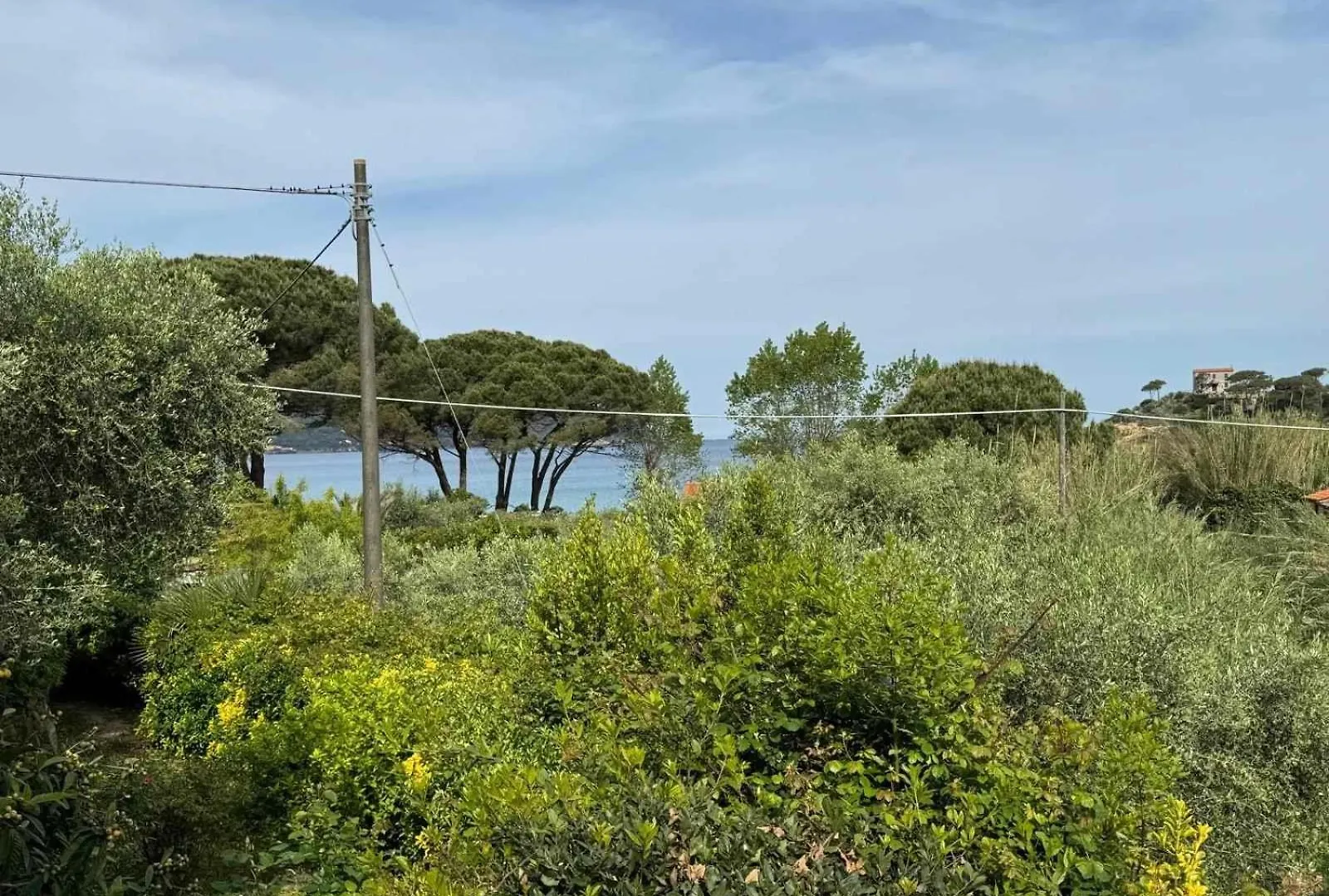 Casa Bruno Διαμέρισμα Marciana  Marciana (Isola d'Elba)